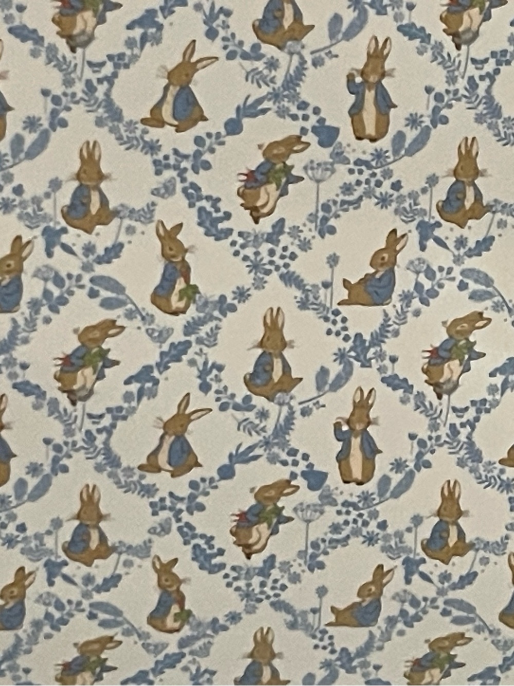 Easter Peter Rabbit Plush Throw - Picture 3 of 9